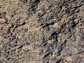 Simple rough stone texture close up, abstract background.