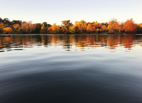 A closeup view of a sunny lake from the water, with orange trees in the distance