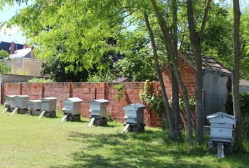 Les ruches du jardin