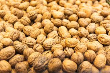 Close-up of many closed walnuts