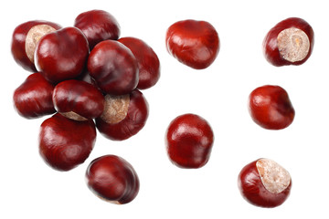 chestnuts isolated on white background. top view