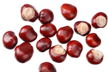 chestnuts isolated on white background. top view