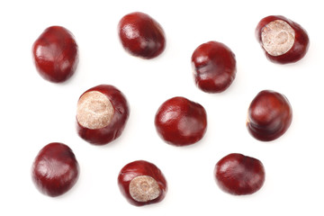 chestnuts isolated on white background. top view
