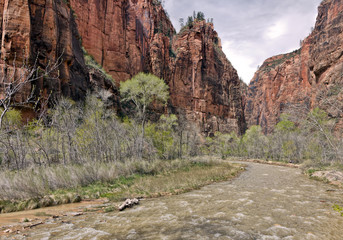 VIrgin River in Zion