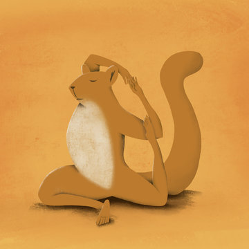 squirrel yoga
