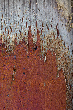 Grungy Texture