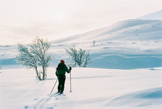 Anonymous Arctic Explorer Skiing Through Untouched Wilderness Shot on Film