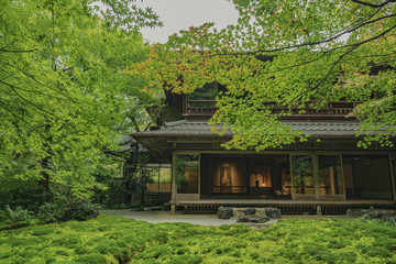 Fototapeta premium 京都 瑠璃光院 お寺 寺社仏閣 紅葉 日本庭園 四季 拝観 特別公開 写真素材 広告
