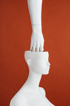 Hand inside a mannequin?s head.