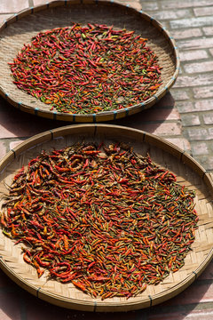 Street sun dried chillies