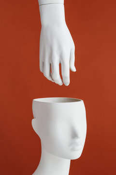 Hand coming in a mannequin?s head.