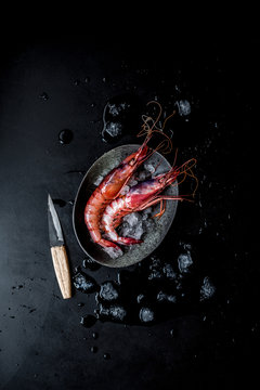 Red Shrimp
