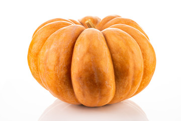 ripe big pumpkin for halloween