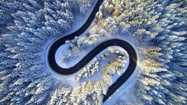 Winding road passing through forest during winter