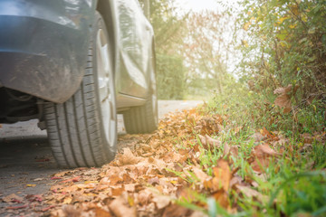 Auto fährt über eine von Laub bedeckte Landstraße