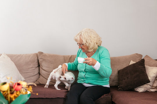 Senior Woman Playing With Her Dog