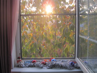 autumn evening sun still shines but  Christmas in my mind