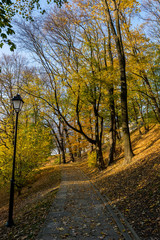 Jesień,park. Przemyśl