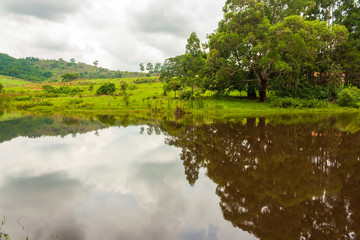 Fototapeta premium Fazenda IMG_84486