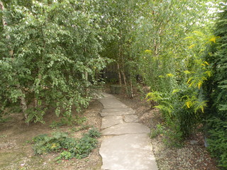 Fototapeta premium park