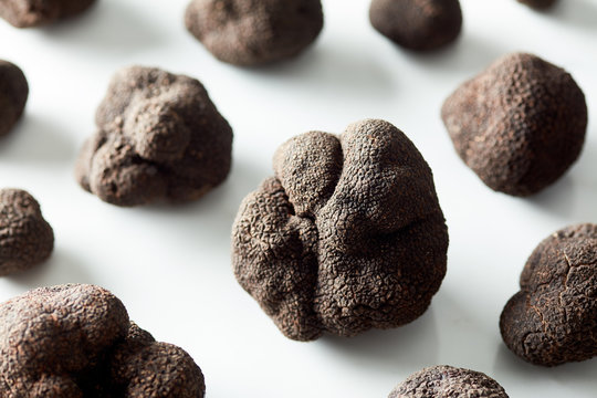 Composition of natural raw truffles