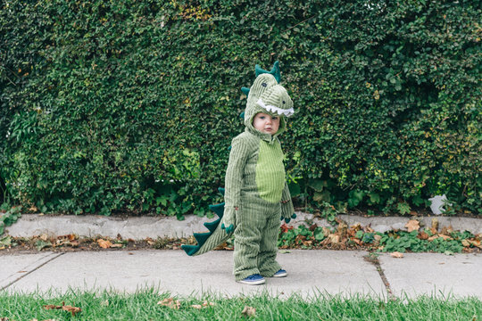 Toddler standing on the sidewalk in a dinosaur costume