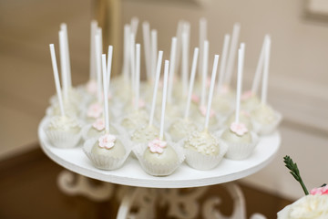 Fototapeta na wymiar white plate with cake pops on party