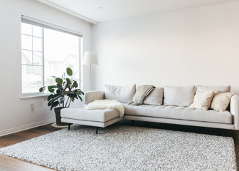 Beautiful interiors of minimalist home with lamp, sofa, rug and plants