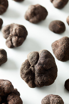 Scented raw black truffles in layout