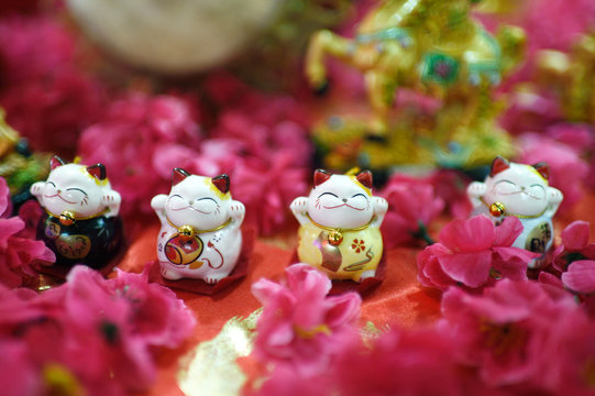 Row of Fortune Cat figurines