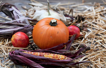 Selected view of small pumpkin with other Autumn decoration on rustic wood and straw