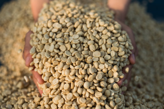 Wet Process Coffee