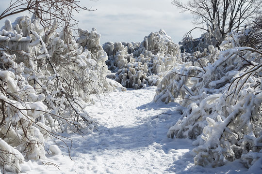 Winter Lake Scene on Trail