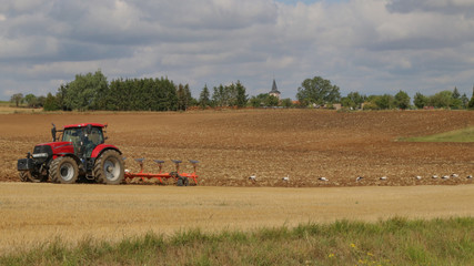 Obraz premium récolte de céréales 