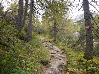 Auf dem Weg zum Trischübel