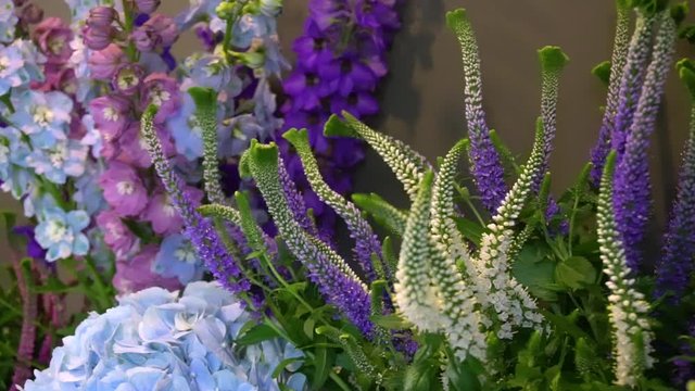 Different colorful flowers and bouquets in floral store