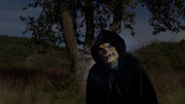 Night scene of scary monster in the wood that look toward the camera. Hd Video, Halloween theme, Man in Mask.