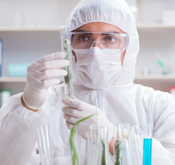 Biotechnology scientist chemist working in lab