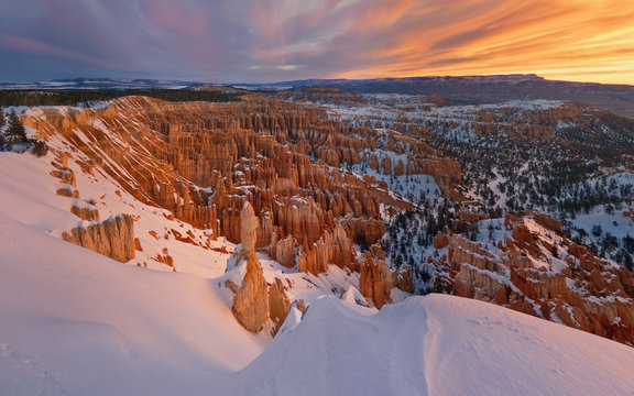 Aerial view of Bryce Canyon National Park during sunset