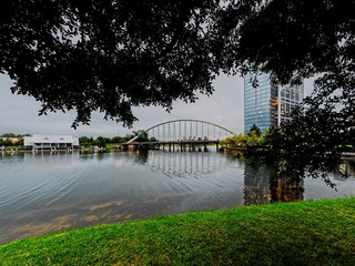 Obraz premium Tree Outlinging Buildinga and Bridge by Water