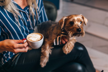 Girl drinking coffee with dog in caffe