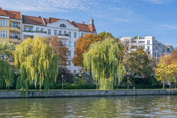 Banks of the river Spree lined with weeping willow trees in Berlin, Germany