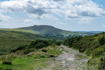 Landscape of Dartmoor national park, near Princetown, Sheepstor, Devon, UK