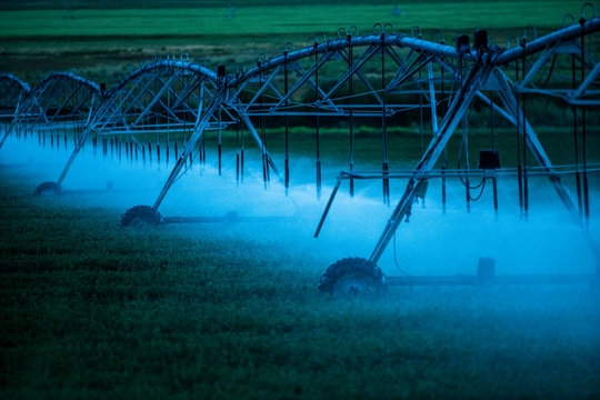 Irrigation system spraying crop field at sunset