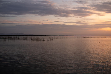 Fototapeta premium Lagoon in Pinedo town of Valencia