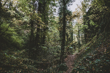 Haluzicka tiesňava, Slovakia