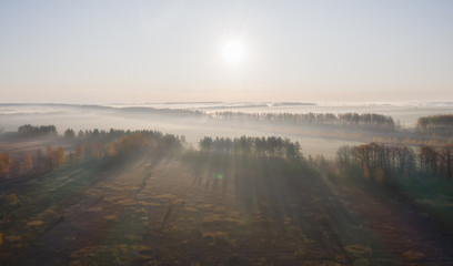 Morning autumn fog creeps over fields and tree plantations, aerial photography