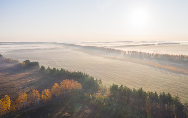 Morning autumn fog creeps over fields and tree plantations, aerial photography