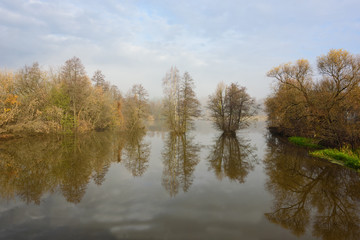 Morning on the river, trees are reflected in the water.