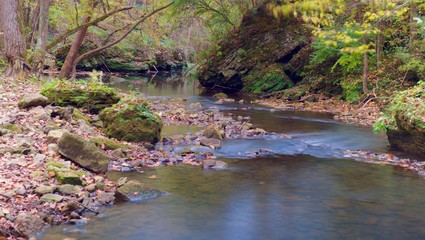 Dead tree over small rippling stream long exposure shot. Long exposure of stream with downed trees forming small dam over river in woods. Fall time leaves visible. Red and yellow everywhere
